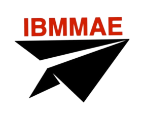 Logo ibmmae