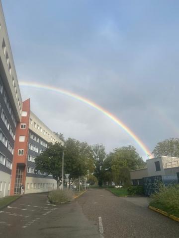 Rainbow